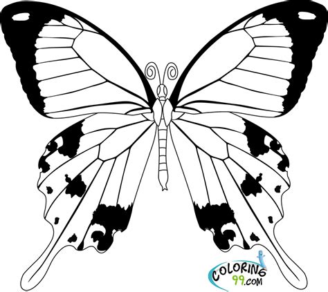 Https://wstravely.com/coloring Page/simple Butterfly Coloring Pages Printable