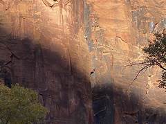 The Gold Mine S Rebirth Revitalizing A Long Island Landmark For Education And Exploration