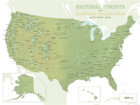 Us National Forests Map 18x24 Poster Etsy