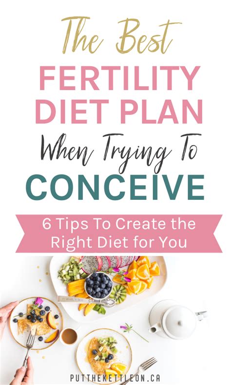 The Best Fertility Diet Plan When Trying To Conceive Fertility Diet Plan Fertility Nutrition