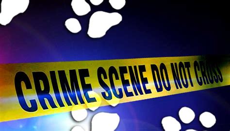 Animal Cruelty In Long County Launches Investigation