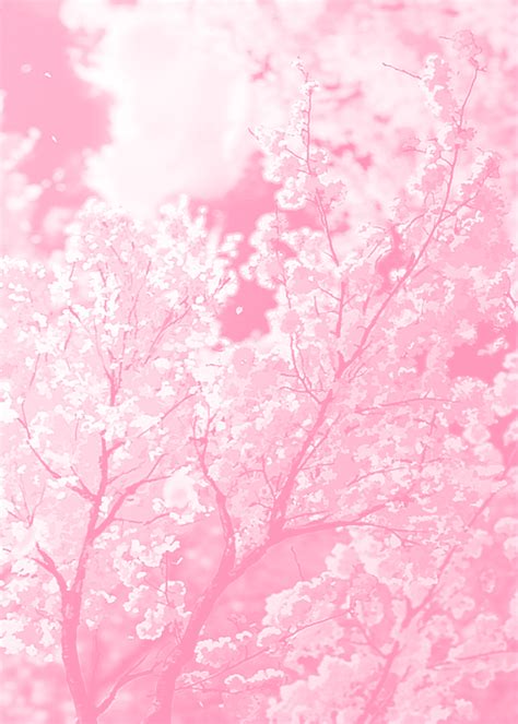 Soft Aesthetic Pink Anime Background Fotodtp