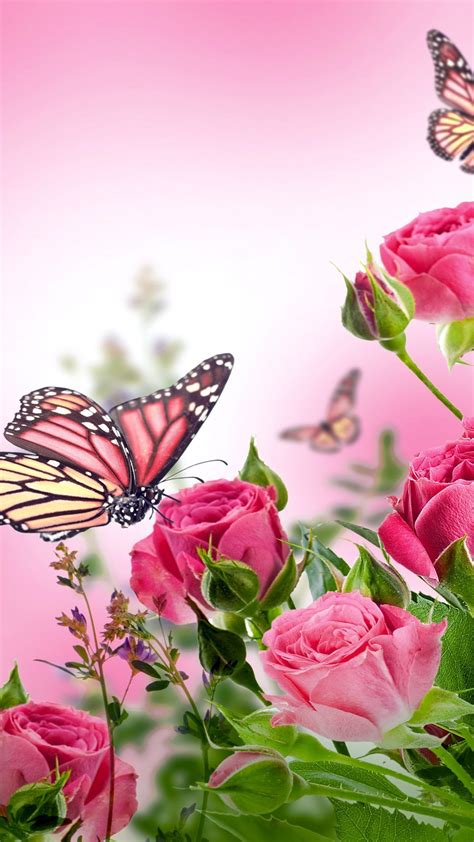 Pink Butterfly Hd Wallpapers For Mobile Cute Wallpapers Hot Sex Picture