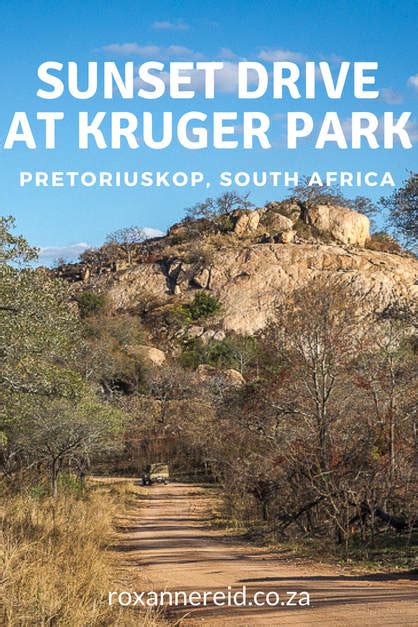 Sunset Drive At Pretoriuskop Kruger Park Roxanne Reid Africa Addict