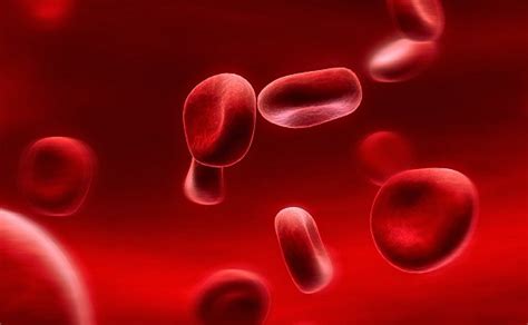 Μπορεί η ομάδα αίματος μπορεί να επηρεάσει την υγεία σας Ναι λένε οι
