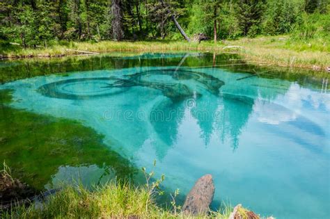 Lake Forest Turquoise Mountain Stock Image Image Of Stains Beauty