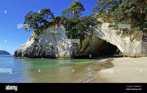 Cathedral Cove New Zealand Northern Island Coromandel Peninsula
