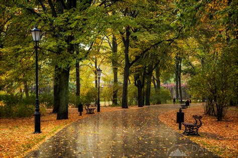 Rainy Autumn Day Landscape And Rural Photos Darkelf Photography