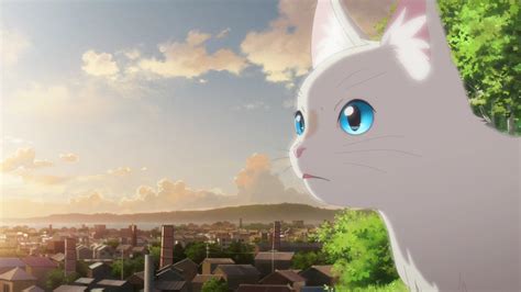 Download Anime A Whisker Away Otakudesu Jasainstalasilistrik