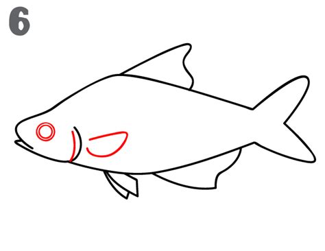 How To Draw A Fish Step By Step