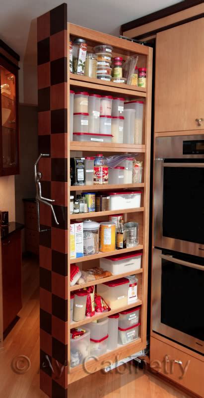 Modern And Classic Pull Out Pantry Design Homesfeed