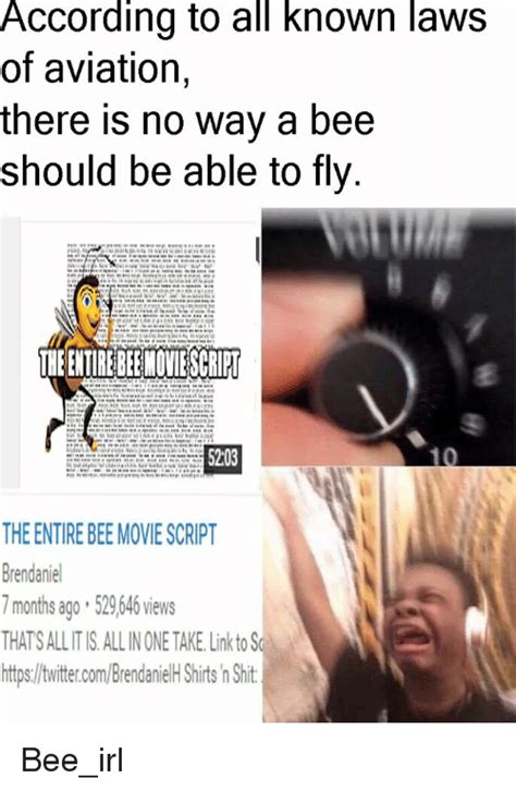 According To All Known Laws Of Aviation There Is No Way A Bee Should Be Able To Fly The Entire