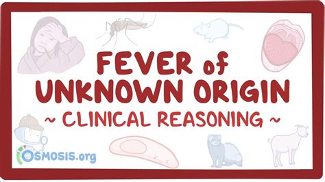 Fever Of Unknown Origin Clinical Practice Osmosis