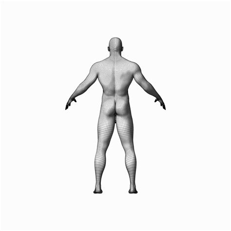 Human Male Character 3d Model 12 3ds Blend Dae Fbx Obj Unknown