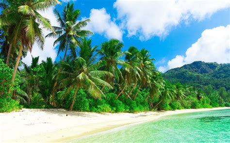 Nature Landscape Beach Sea Sand Palm Trees Clouds Hill Tropical Holiday Wallpapers Hd
