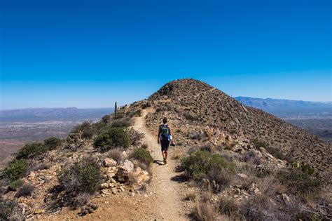 8 Reasons To Go To Arizonas Saguaro National Park Huffpost