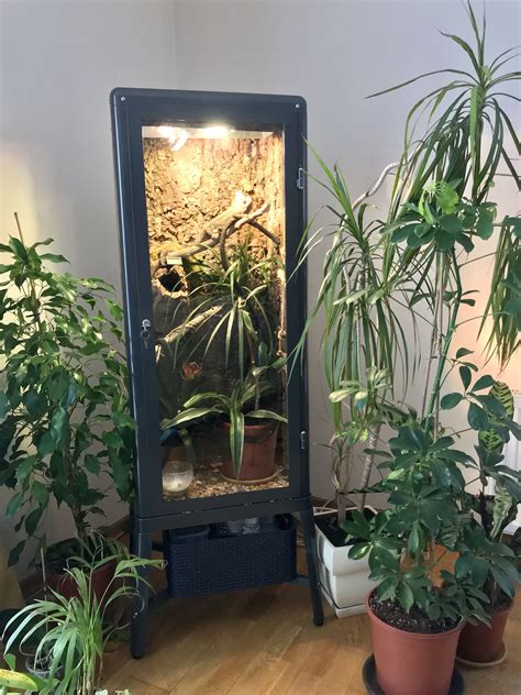 To provide the best level of care, it is a great idea to learn from the experiences of many keepers, not just one. Veiled Chameleon habitat made of IKEA Fabrikor cabinet/ enclosure. DIY | Chameleon cage, Veiled ...