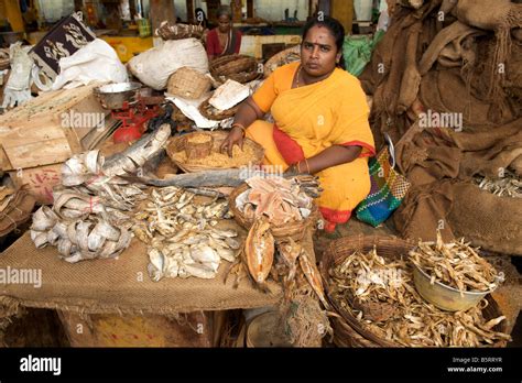 Indian Fish Market India Hi Res Stock Photography And Images Alamy