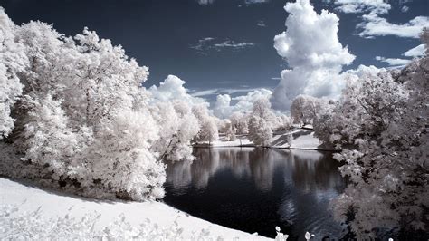 Free Download White Winter Landscape Wallpaper 1070215 1920x1080 For