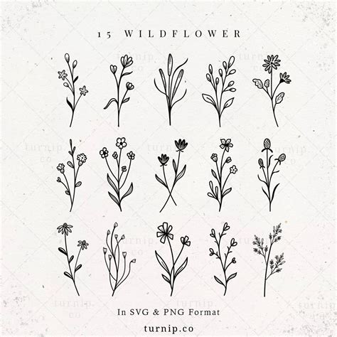 Wildflower Svg Bundle Png Botanical Clipart Sublimation Etsy Flower