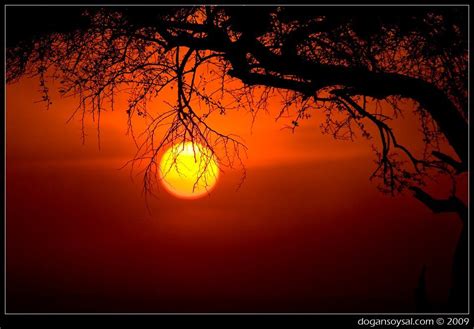 ≈☼‿☼≈•¨¨•• Sunrises Sunrise Sunset Moon Earth Celestial