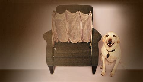 A form of marquetry that uses straw instead of wood to create a contrasting pattern on the surface of a piece. 6 Ingenious Tips That'll Help You Keep Your Couch Pup Free - BarkPost