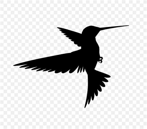 Hummingbird Silhouette Wing Png 720x720px Bird Beak Bird Flight
