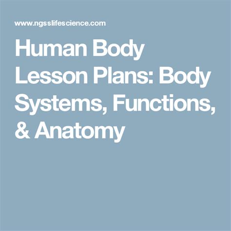 Human Body Lesson Plans Body Systems Functions And Anatomy Human Body