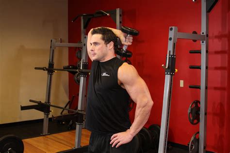 Dumbbell One Arm Triceps Extension Exercise Guide And Video
