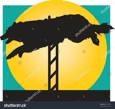 Silhouette Border Collie Jumping Hurdle Agility Vetor Stock Livre De