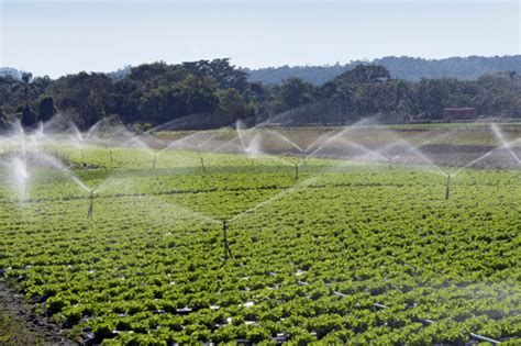 Um Dos Sistemas De Irrigação Utilizados Na Agronomia