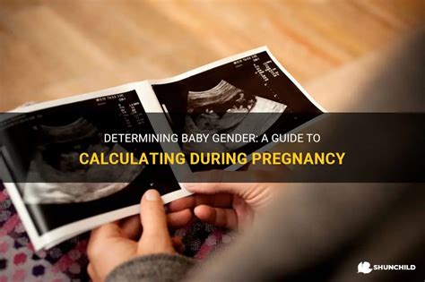 Determining Baby Gender A Guide To Calculating During Pregnancy