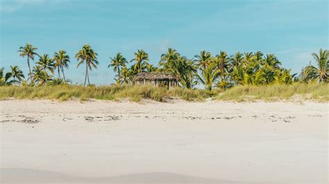 Download Wallpaper 2048x1152 Beach Ocean Palm Trees