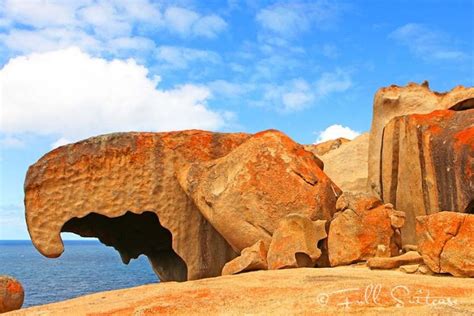 Kangaroo Island Itinerary Best Things To Do And Travel Guide