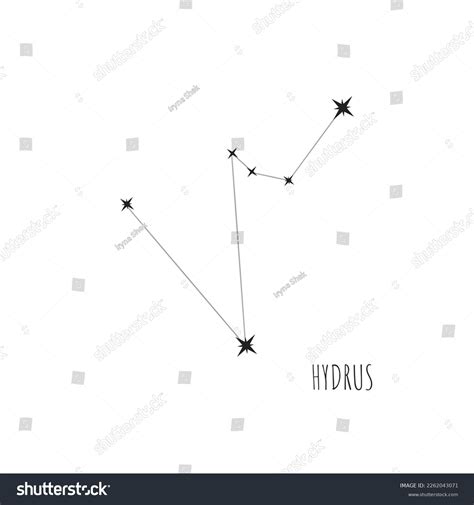 Simple Constellation Scheme Hydrus Doodle Sketch Stock Vector Royalty