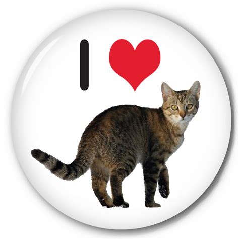 Funny Pinback Button With I Heartcats