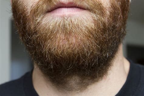 how to fix a patchy beard patchy beard beard hairstyle beard
