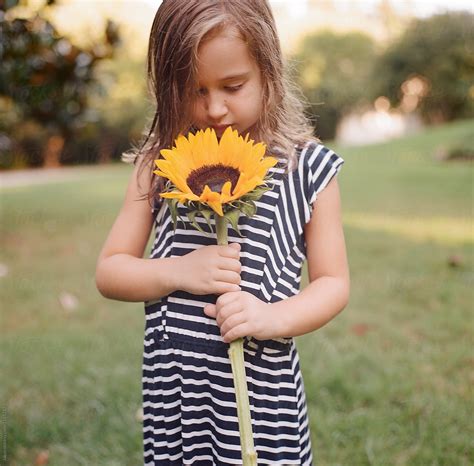 Cute Young Girl With A Big Sunflower Del Colaborador De Stocksy