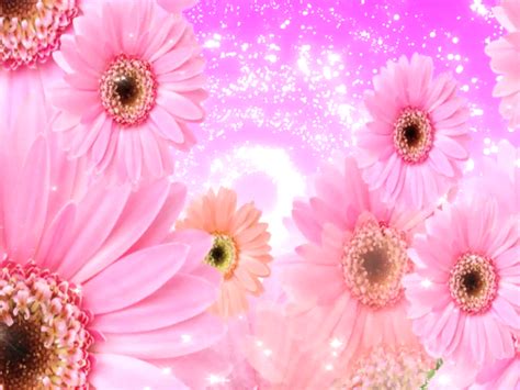 Search, discover and share your favorite animated flowers gifs animation online. Decent Image Scraps: Flower Animation