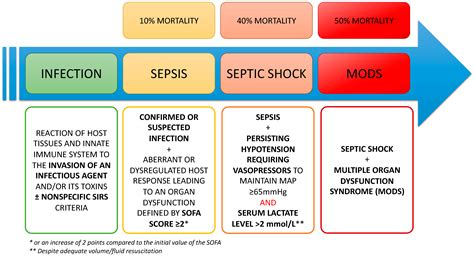 Sepsis Pathophysiology Diagram