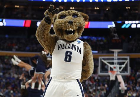 Does Villanova Have The Best Wildcat Mascot in College Sports? - VU Hoops