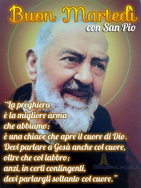 Visita à cidade de são francisco.#sanfranciscocity #sanfrancisco @madeira plane spotting @madeira aviação comercial. Buon Martedì con Padre Pio bellissime immagini | Citazioni sagge, Citazioni, Martedì