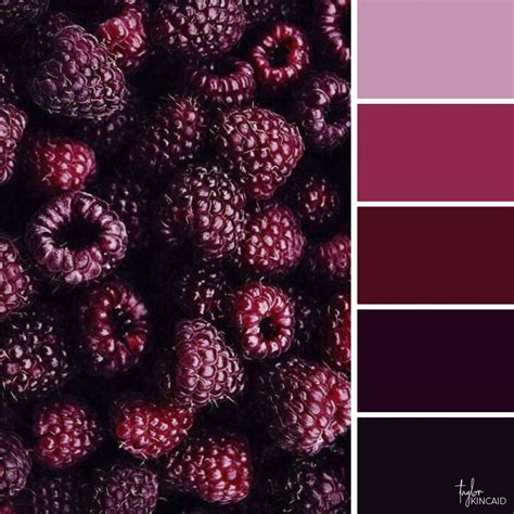 Raspberries Color Color Schemes Color Schemes Colour Palettes