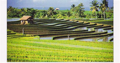 My Unesco World Heritage Postcards Indonesia Cultural Landscape Of Bali Province The Subak