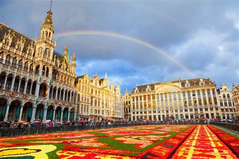 Brussels Flower Carpet The Grand Place In All Its Glory Radisson Blu