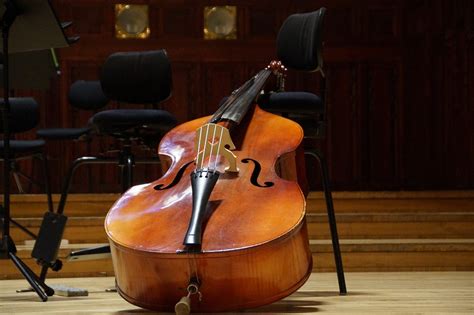 Io quando ascolto musica capisco il tempo, il ritmo, ma non riesco a trovare la tonalità per improvvisare su di esso. Il contrabbasso è lo strumento principe dell'orchestra: lo ...