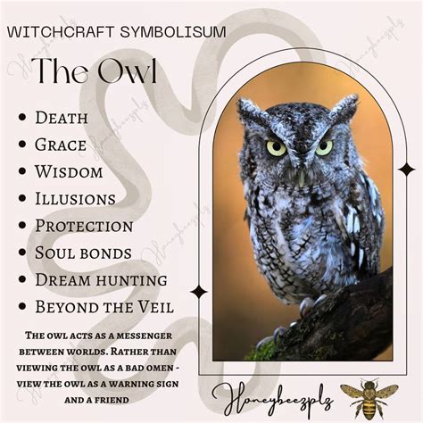 The Owl In Witchcraft In 2022 Witchcraft Witch Owl