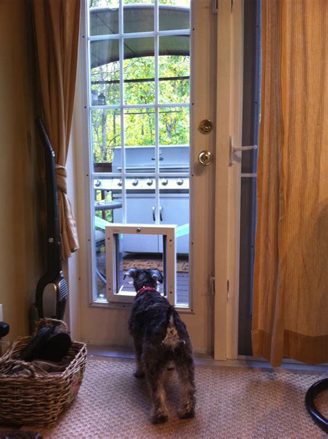 We did not find results for: doggie door | Sliding glass dog door, Sliding glass door ...