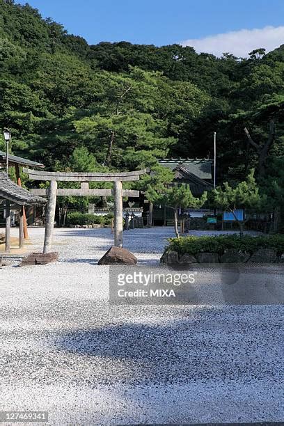 Tsushima Shrine Photos And Premium High Res Pictures Getty Images