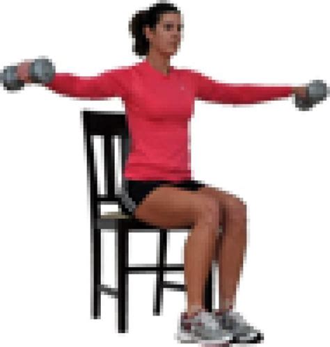 Overweight Exercisers Can Lift Weights With A Seated Total Body Workout